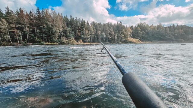 3C243295-EBAC-4091-AB79-52BAC73DC424